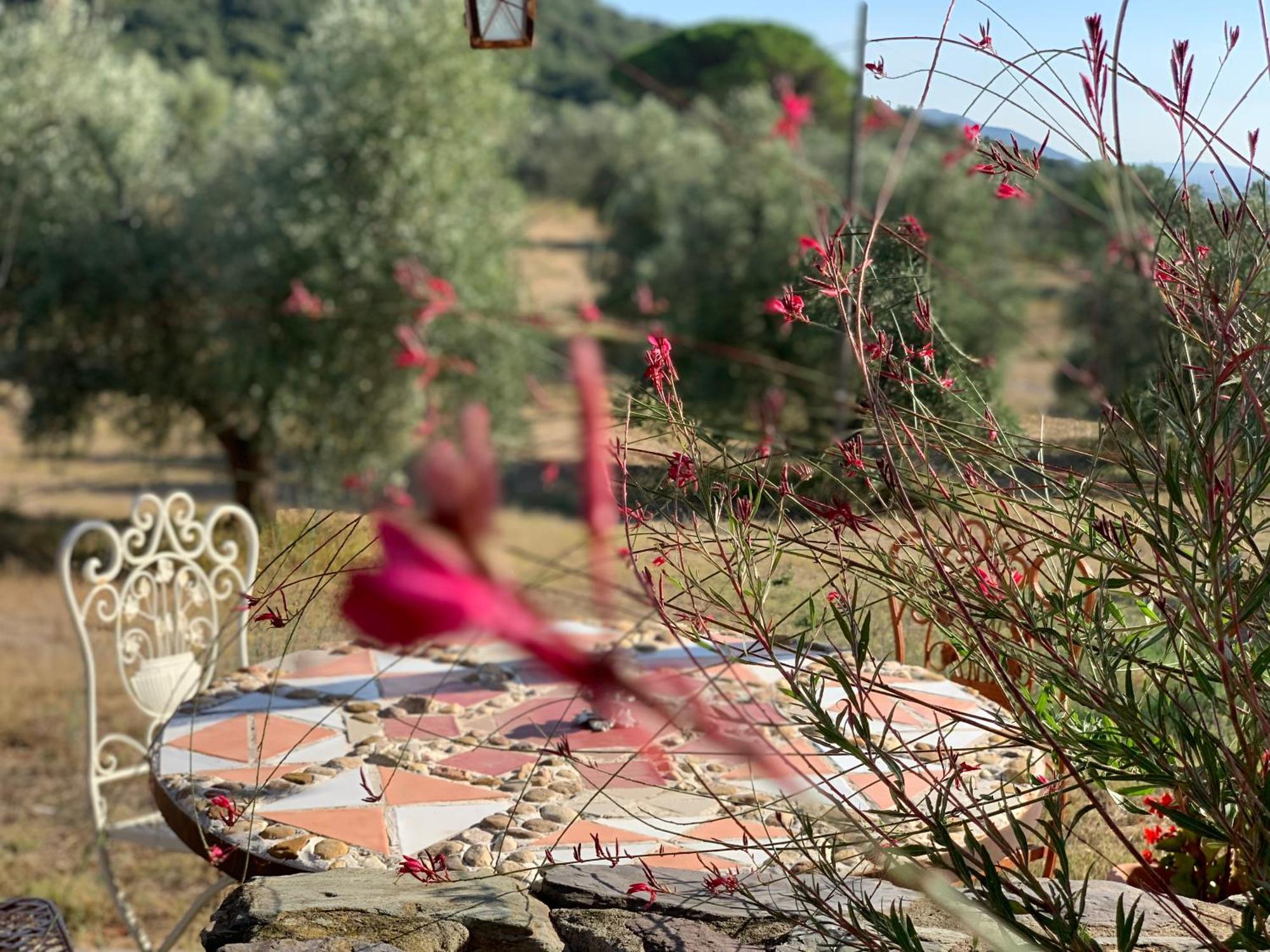 Agriturismo Poggio Falco Batignano Exterior foto